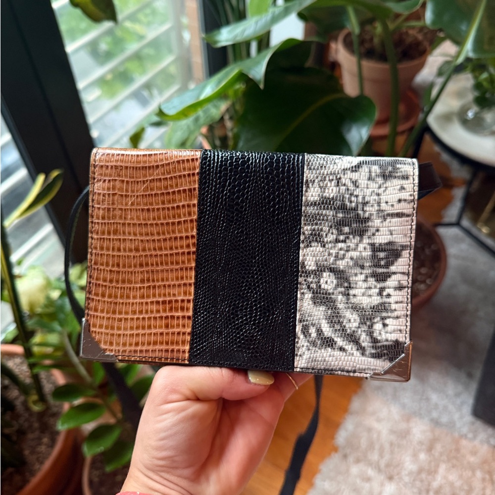 Vintage Alexander Wang Clutch / Crossbody